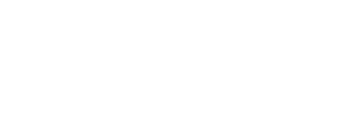 Ticket Parques